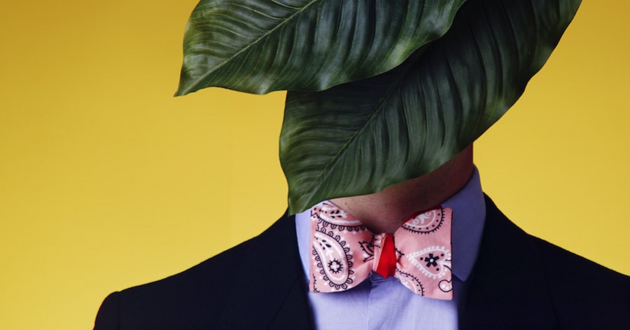 Collection de cravates et noeuds papillon Bandana
